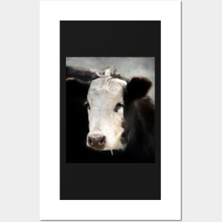 Black and White Cow Posters and Art